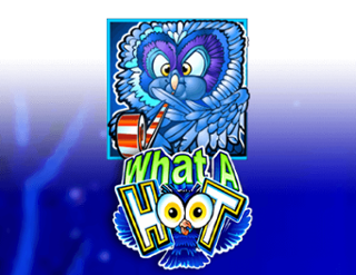 Hva en Hoot