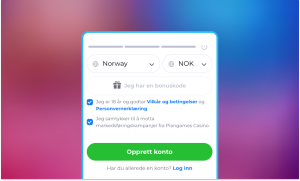 Etter registreringen vil du motta en e-post for å bekrefte e-postadressen din. Bekreftelsen skjer ved å klikke på lenken i den tilsendte e-posten.