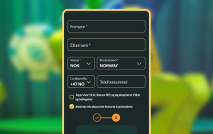 Fyll inn informasjon