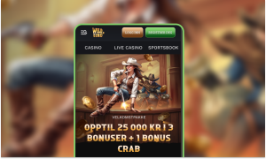 23 750 kr