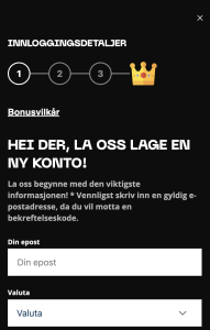 Fyll inn kontaktinformasjon: