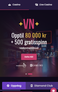 Registrer deg: